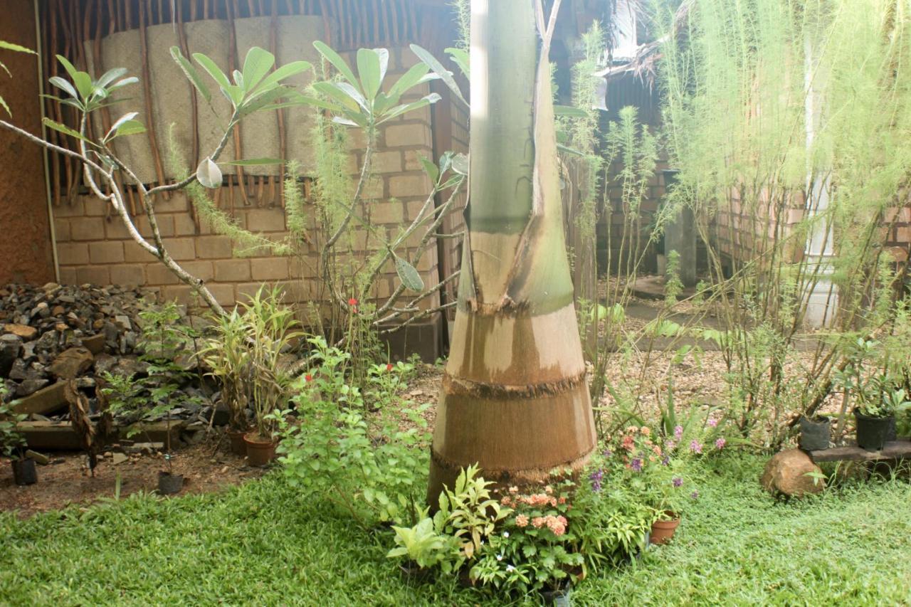 The Mango Leaf Hotel Matara Buitenkant foto